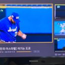 자담치킨방어점 네이버블로그