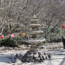 3월~봄과 함께 시작하는 저녁반 108순례- 선운사와 강천사 이미지