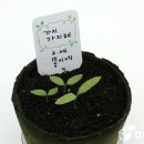 팜팜농장 이미지