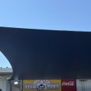 씨월드 피시 이미지