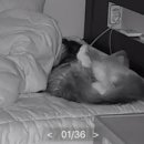 세진동물병원 이미지