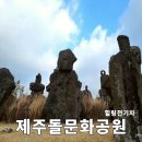 전기차충전소_양지공원 | 제주돌문화공원 전기차 후기 부모님과 가볼만한곳