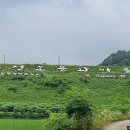 용설호문화마을 이미지