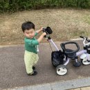 금잔디 어린이공원 이미지