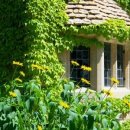 분당구청 앞 문화의 거리 이미지