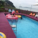 뷰나인아임파인 | 강아지 펜션, 인천 강화도 뷰나인 펜션, 방갈로 수영장, 아임파인카페, 가족 여행, 당일치기 펜션추천