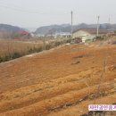 원덕공인중개사사무소 이미지