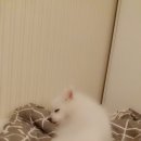 우리는식구