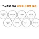 타토아의원 이미지
