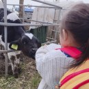 수목원농장 이미지