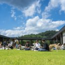 앞산강아지 이미지