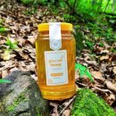 숲뒤농장 이미지