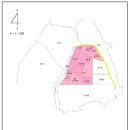 대환축사 이미지