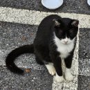 세븐일레븐 아침고요수목원점 이미지