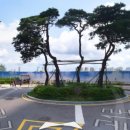 한라청과 이미지