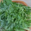 태백골산야초식당 이미지