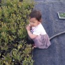 자매농장 이미지