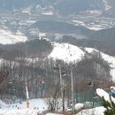 들꽃약국 이미지