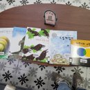 어느 날, 영월 산 책 이미지