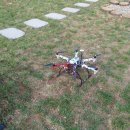 강화섬보리밥 이미지