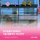 써니약국 이미지