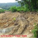 영림목장 이미지