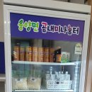 웅양면사무소 이미지