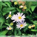 오륜대 한국순교자기념관 이미지