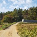 어은2리마을회관 이미지