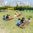 양지1어린이집 이미지