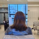 하삼동커피 사송점 | 양산미용실 사송 인하프헤어 톤다운염색 후기