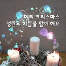 화이트 성탄절 축복 가득 이미지