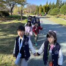 드림파크국화축제💙 이미지