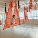 테스휘트니스센타 이미지