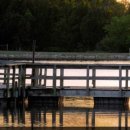 주립농장 이미지