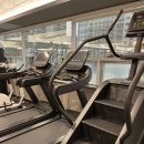 모션업피티 이미지