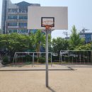 김포서초등학교 이미지