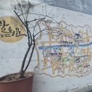 한양체육관 | 한양 도성 3구간 남산 목멱산 코스 후기