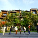 모노포레스트 이미지