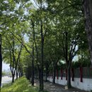가로수길 - 김해시 칠산로335번길 2 | 가로수길