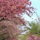 호근경로당 이미지