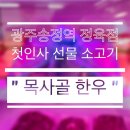필승농장 | 남자친구 첫인사선물 한우선물세트 목사골한우 내돈내산 후기 (+할인팁)