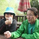 허브랜드 민박 이미지