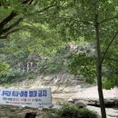 단양군시티투어 네이버블로그