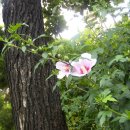 성산교회 이미지