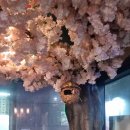 산동반점 | 부산 사상 중국집 추천 가성비 좋은 중식 맛집 산동 반점 솔직 방문 후기