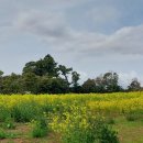 동내마을 이미지