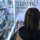 지니네램프 이미지