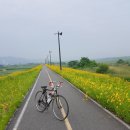 건등1리 경로당 이미지