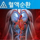 바이오포톤 이미지